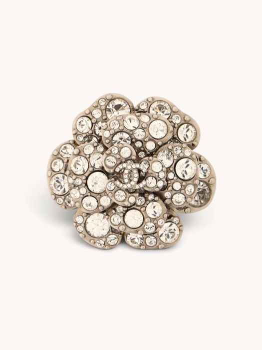 brooch R31649475 фотография