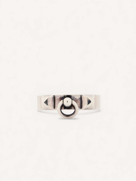 collier de chien RJ29694743 фотография
