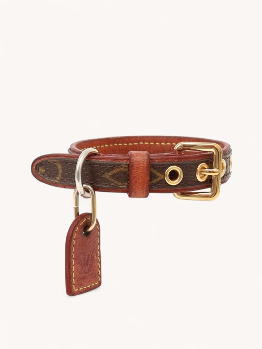 dog collar R29277253 фотография