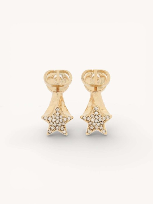 earrings NS29993351 фотография