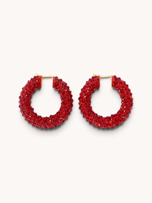 earrings FN31790031 фотография