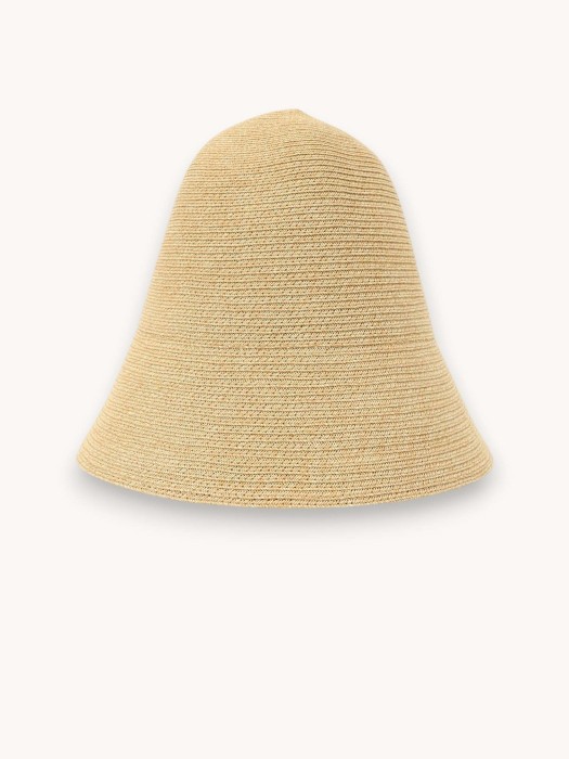 hat NS31318053 фотография