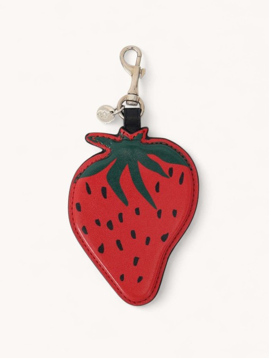 keychain R29139217 фотография