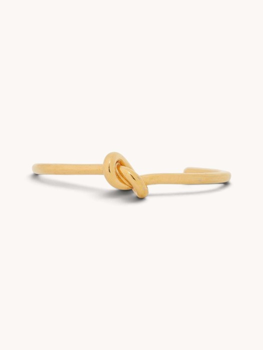 knot R31598093 фотография