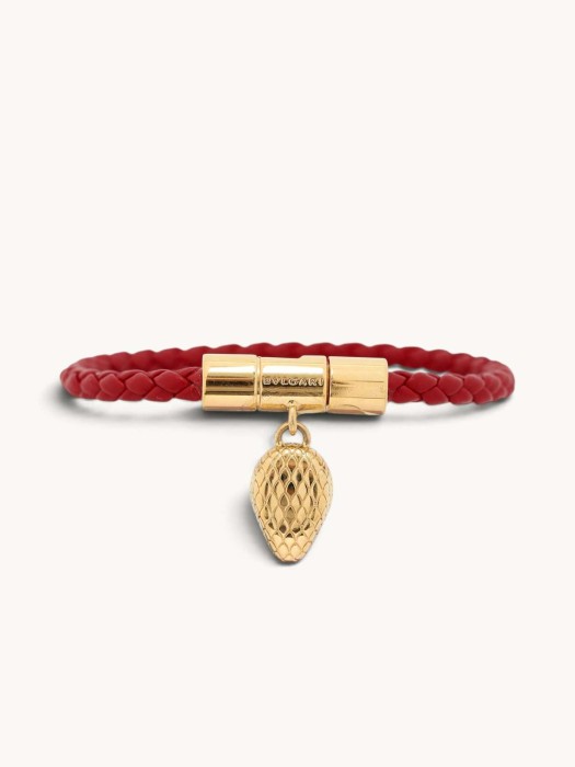 serpenti S31853387 фотография