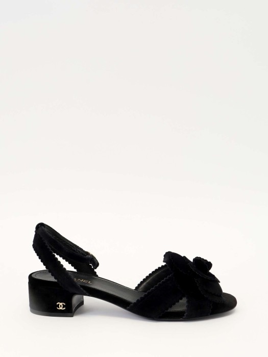 shoes R30080701 фотография