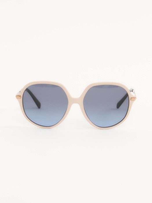 sunglasses F25085413 фотография