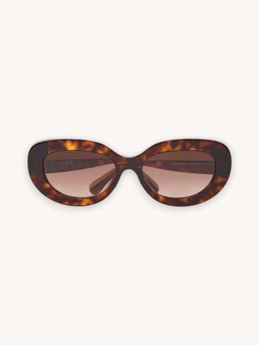 sunglasses R30883272 фотография
