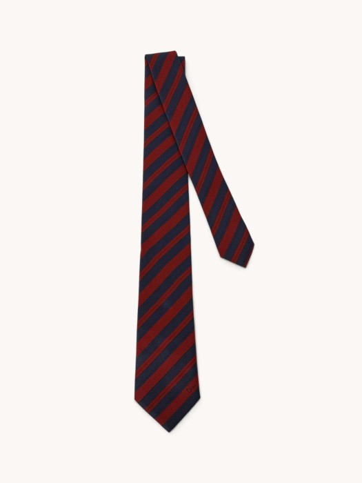 tie NS31658741 фотография