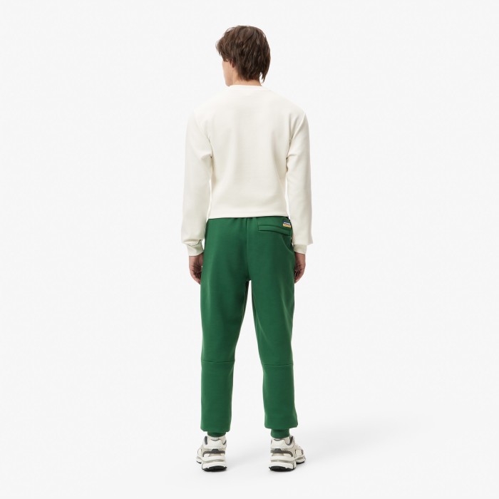 мужские хлопковые спортивные брюки  приталенного кроя от бренда lacoste вид слева