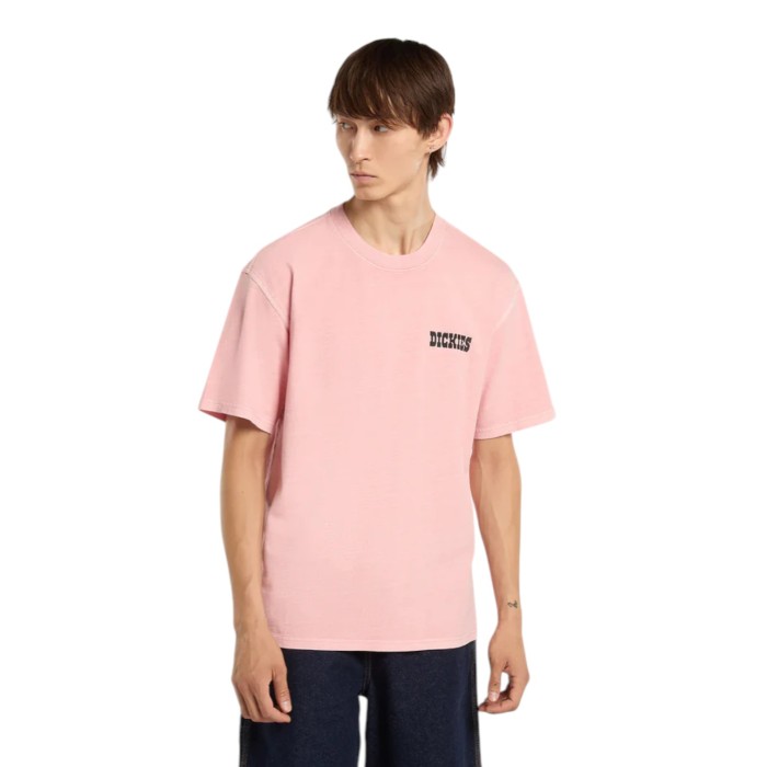 футболка coalfield flight от бренда dickies вид слева
