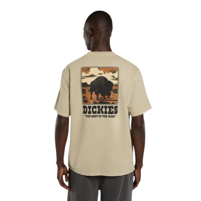 футболка darrtown ss tee DK0A88QQL441 фотография