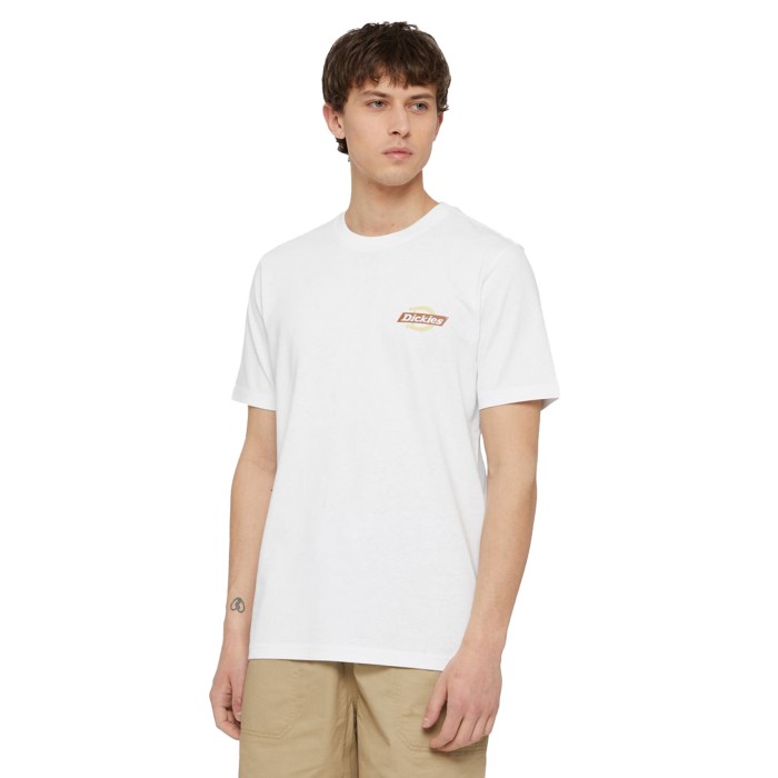 футболка ss ruston tee DK0A4XDCH801 фотография
