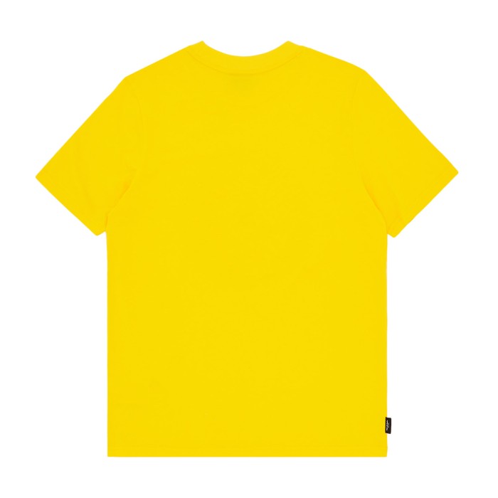 футболка swxp graphic tee от бренда puma вид слева