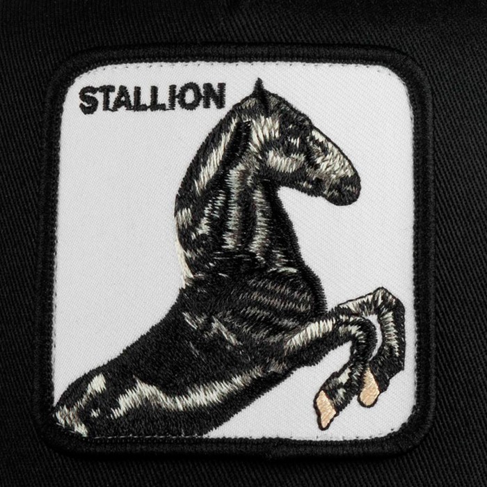 кепка stallion по цене 3392 руб вид справа