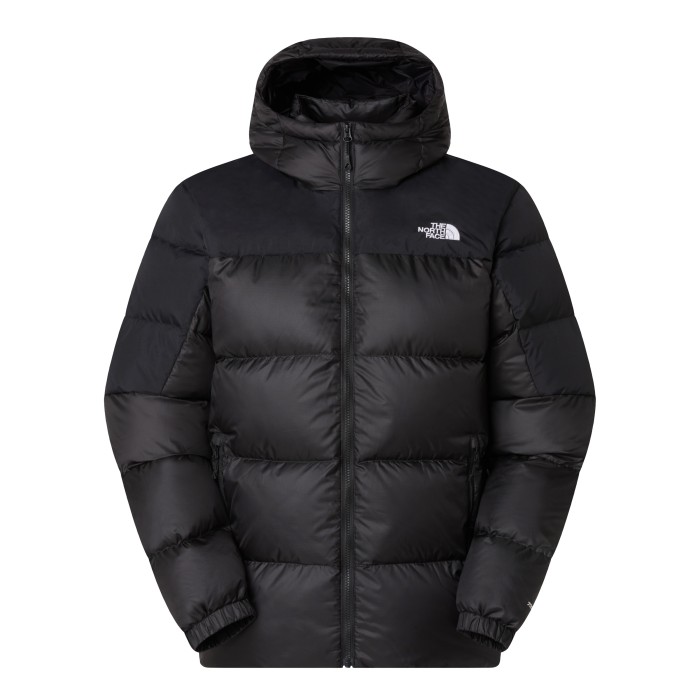куртка diablo down 2.0 hoodie NF0A8992GOC1 фотография