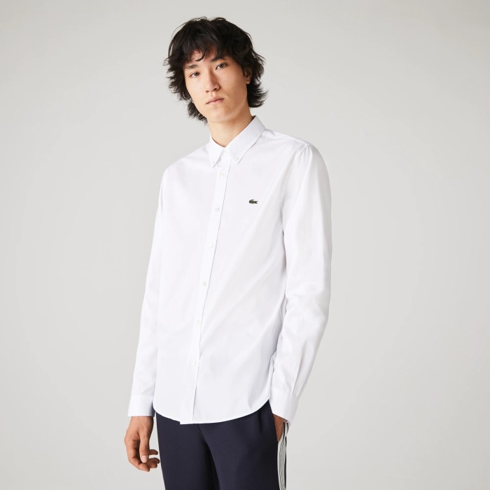 рубашка мужская хлопковая рубашка lacoste вид сзади