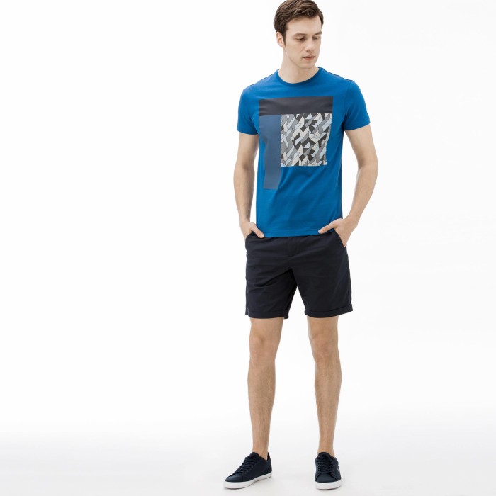 шорты мужские шорты lacoste приталенного кроя FH091010L фотография