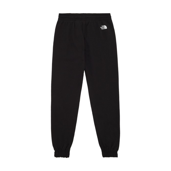 спортивные штаны standard pants от бренда the north face вид слева