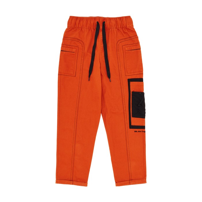 спортивные штаны wal wkr wr pants warm chestnut PM53632064 фотография