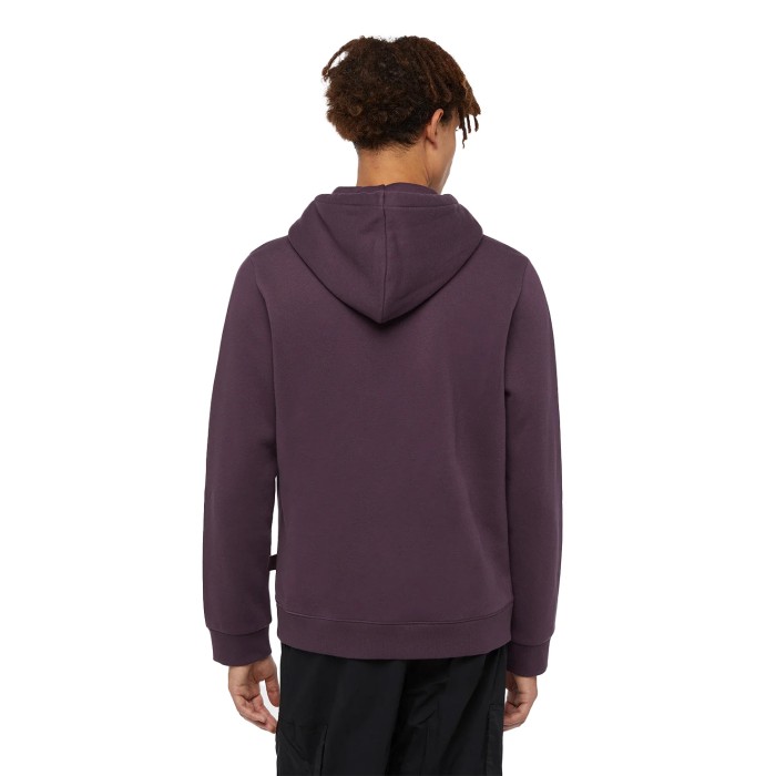 толстовка icon logo hoodie от бренда dickies вид слева