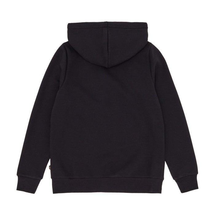 толстовка icon logo hoodie от бренда dickies вид слева