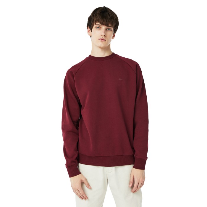 толстовка мужской свитшот lacoste с круглым вырезом SH241010D фотография