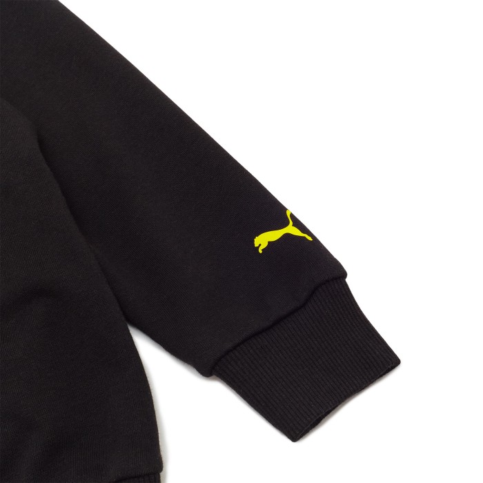 толстовка puma x sw по цене 2933 руб вид справа