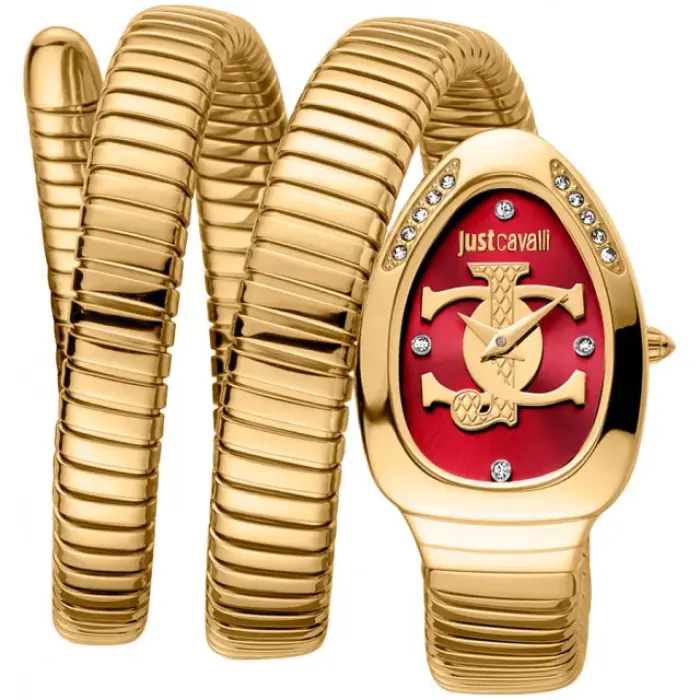 fashion наручные женские часы . коллекция snake JC1L228M0045 фотография