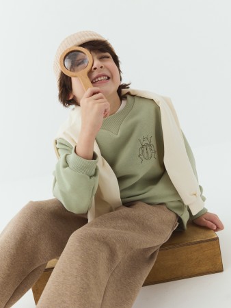 свитшот "полынь" утепленный без начеса - детские толстовки и свитшоты дорогие 