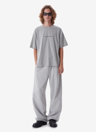 футболка attitude era grey melange фотография