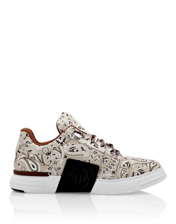 ботинки philipp plein фотография