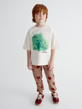 джоггеры с принтом для мальчиков - детская одежда, обувь и аксессуары для всех возрастов недорогая 