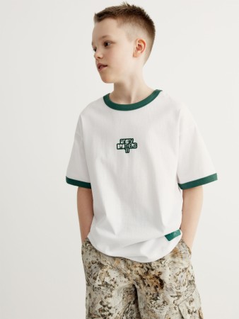 футболка для мальчиков из коллекции art people с angry brothers 11 - детская одежда российская 