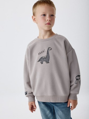 свитшот с принтом для мальчиков - детская одежда для детей 