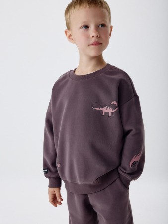 свитшот с принтом для мальчиков - детская одежда для детей 