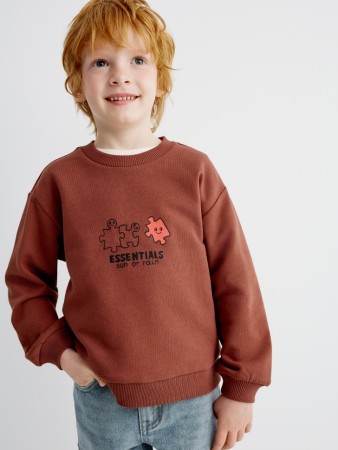 свитшот с принтом для мальчиков - толстовки и свитшоты для мальчиков 