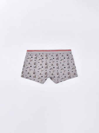 трусы-боксеры из коллекции  x союзмультфильм фотография