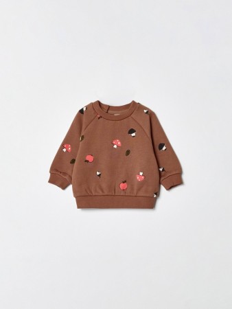 утепленный свитшот с принтом для малышей фотография