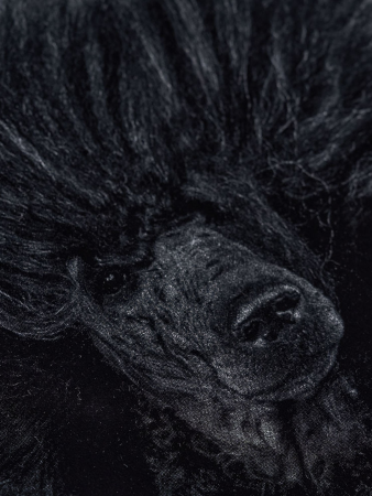 футболка женская elne  фотография