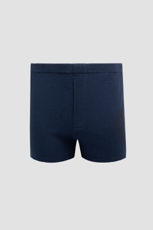 боксеры  фотография