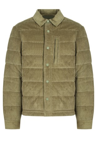 бомбер  фотография