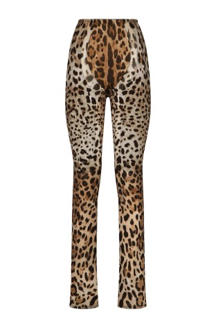 брюки dolce&gabbana фотография