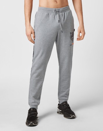 брюки спортивные  фотография