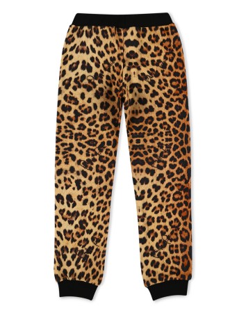 брюки спортивные  фотография