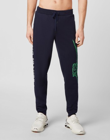 брюки спортивные  фотография