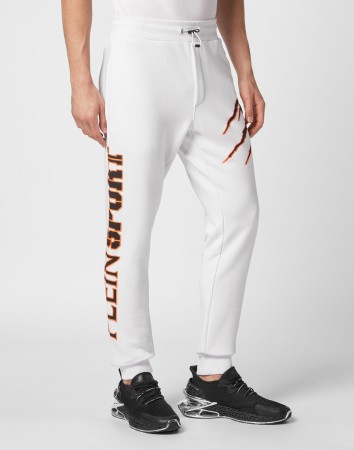 брюки спортивные  фотография