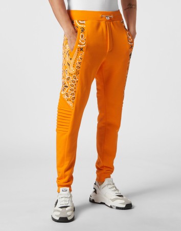 брюки спортивные  фотография