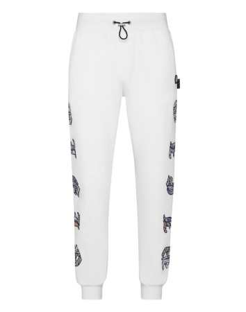 брюки спортивные  фотография