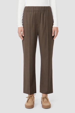 брюки  фотография